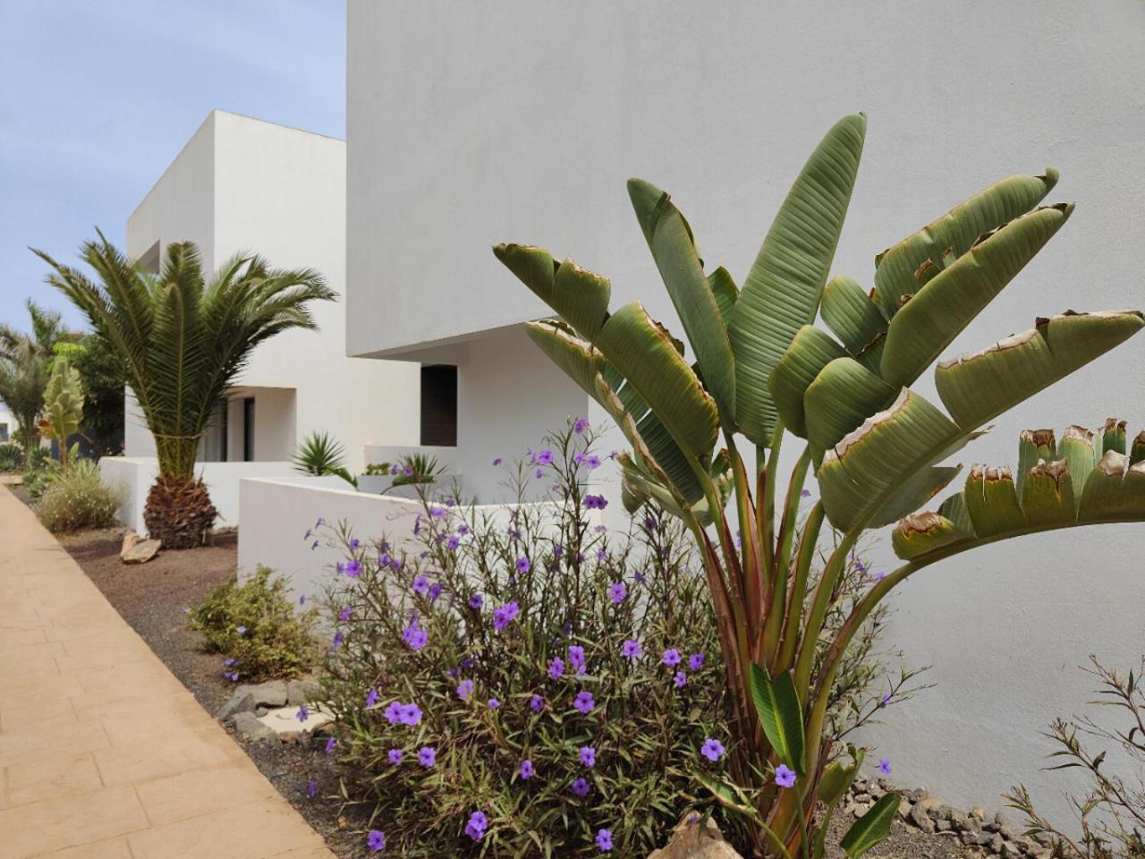 Marta & Lorenzo Apartment. Fuerteventura La Oliva Exterior photo